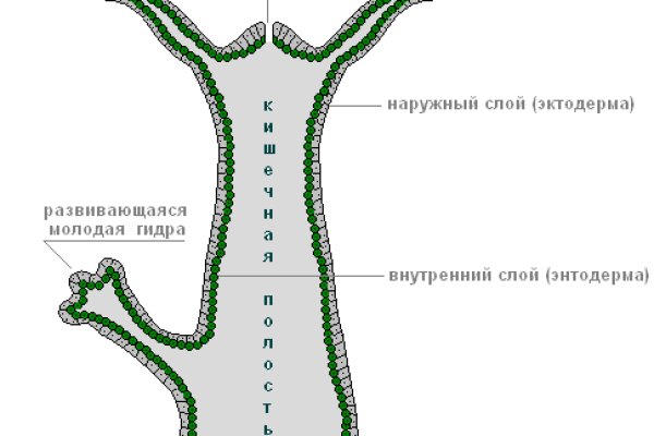 Как зайти на кракен в торе